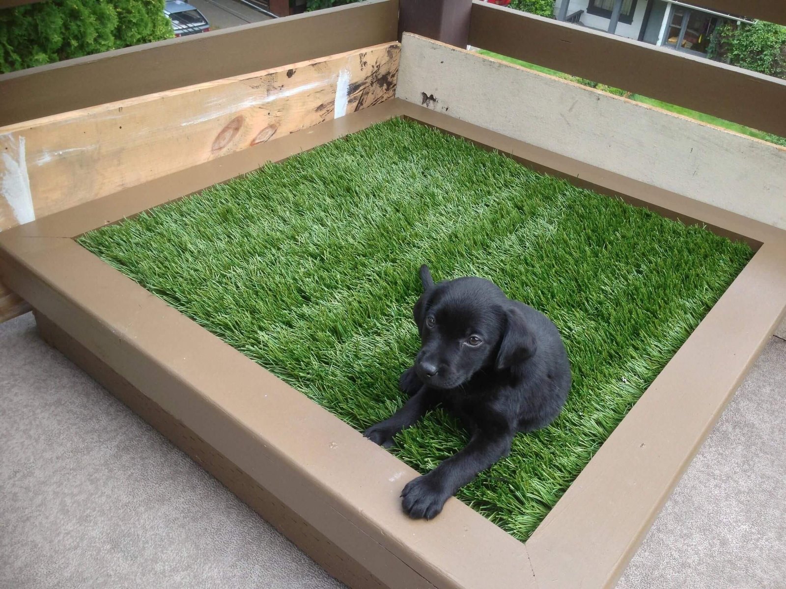 Why do people use artificial grass more than natural grass?