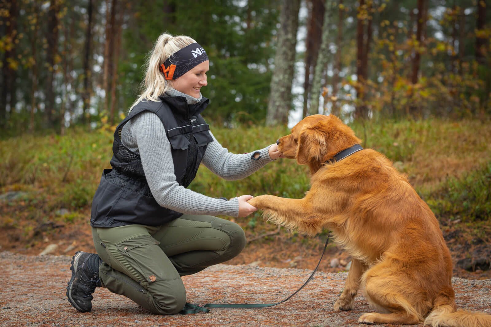 A Quick Guide to Different Dog Training Approaches