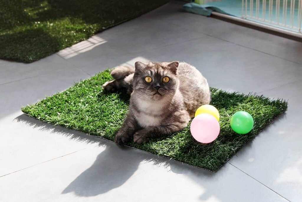 5 Reasons Why Fake Dog Grass Pads are the Best Option for Your Pet