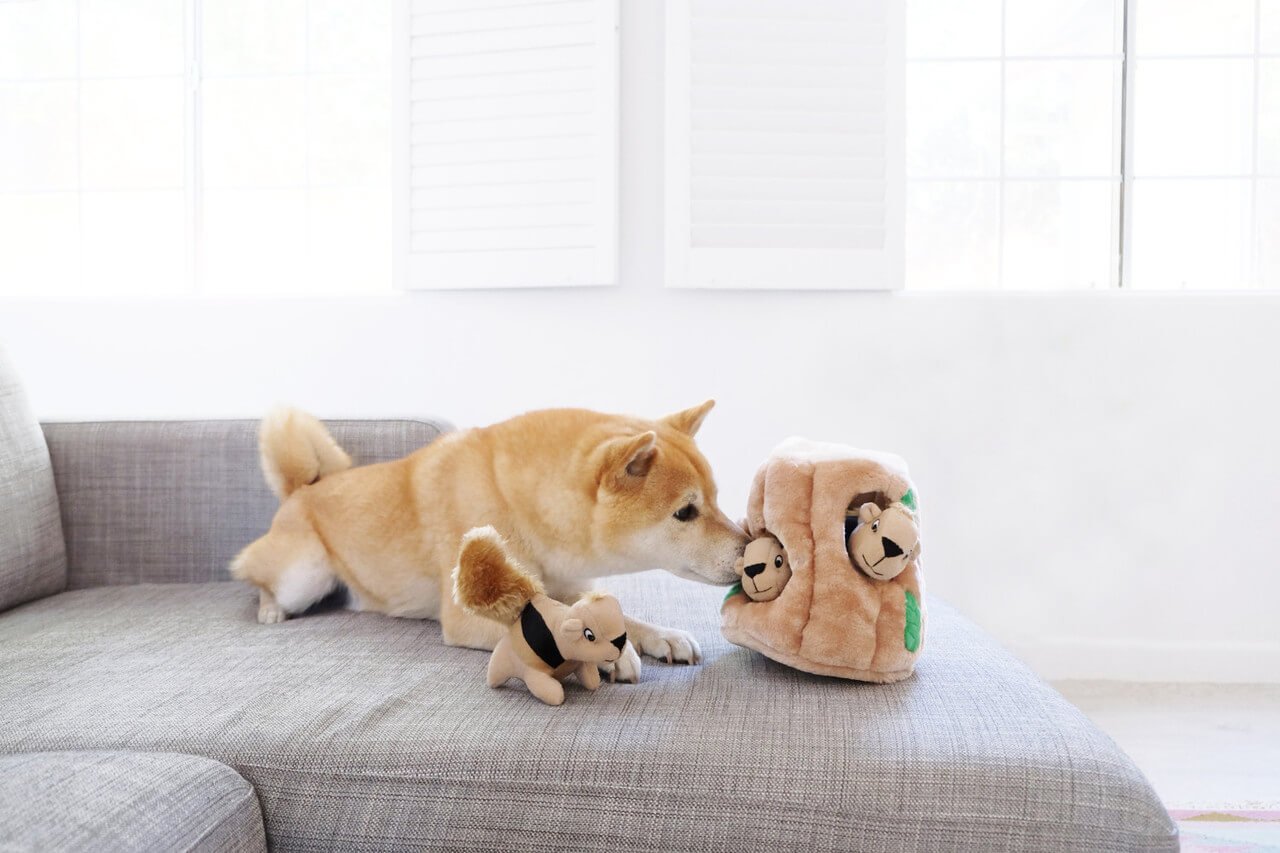 Interactive Puzzle Game Dog Toys