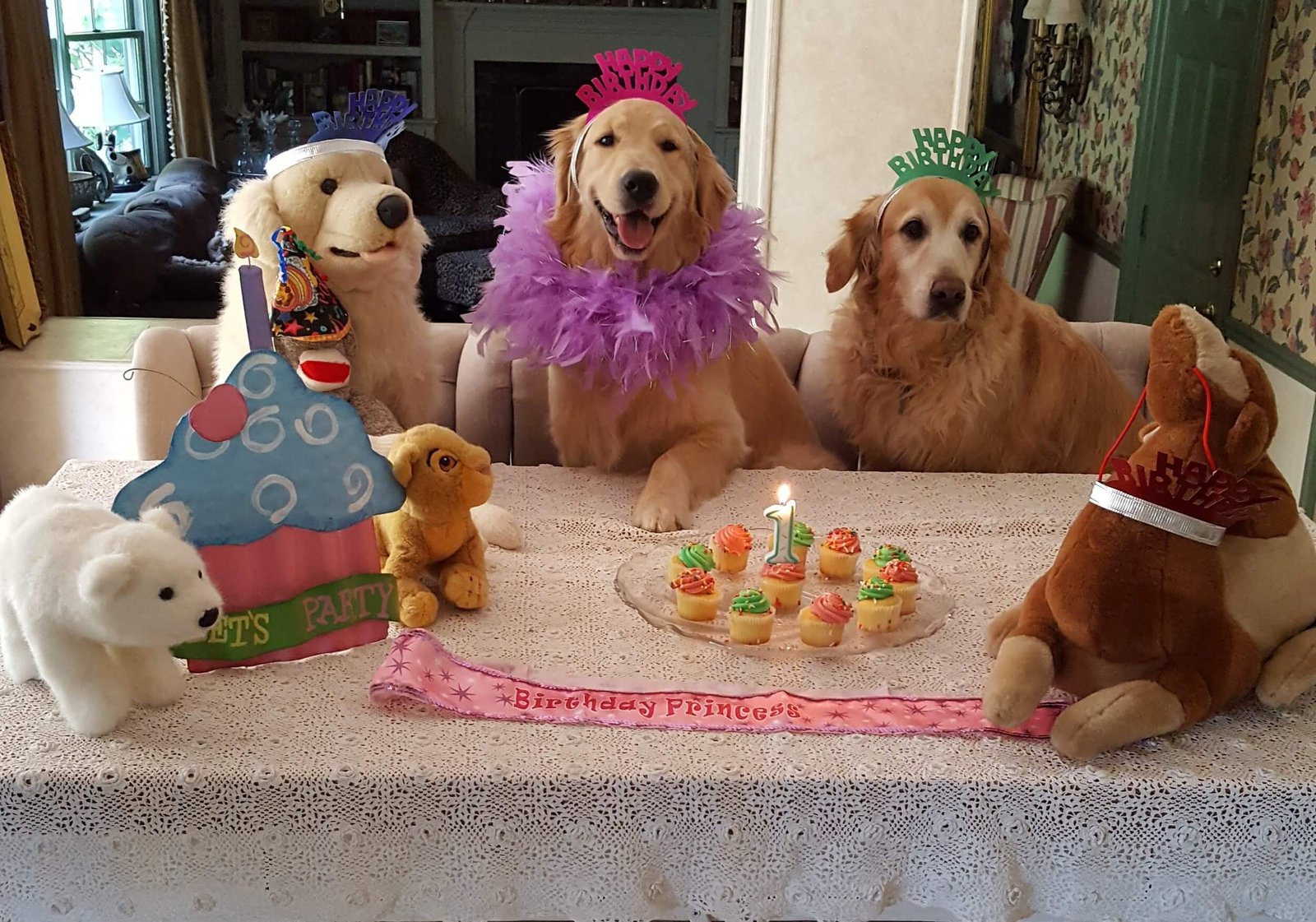 How to Throw Your Dog a Paw-some Bday Bash!