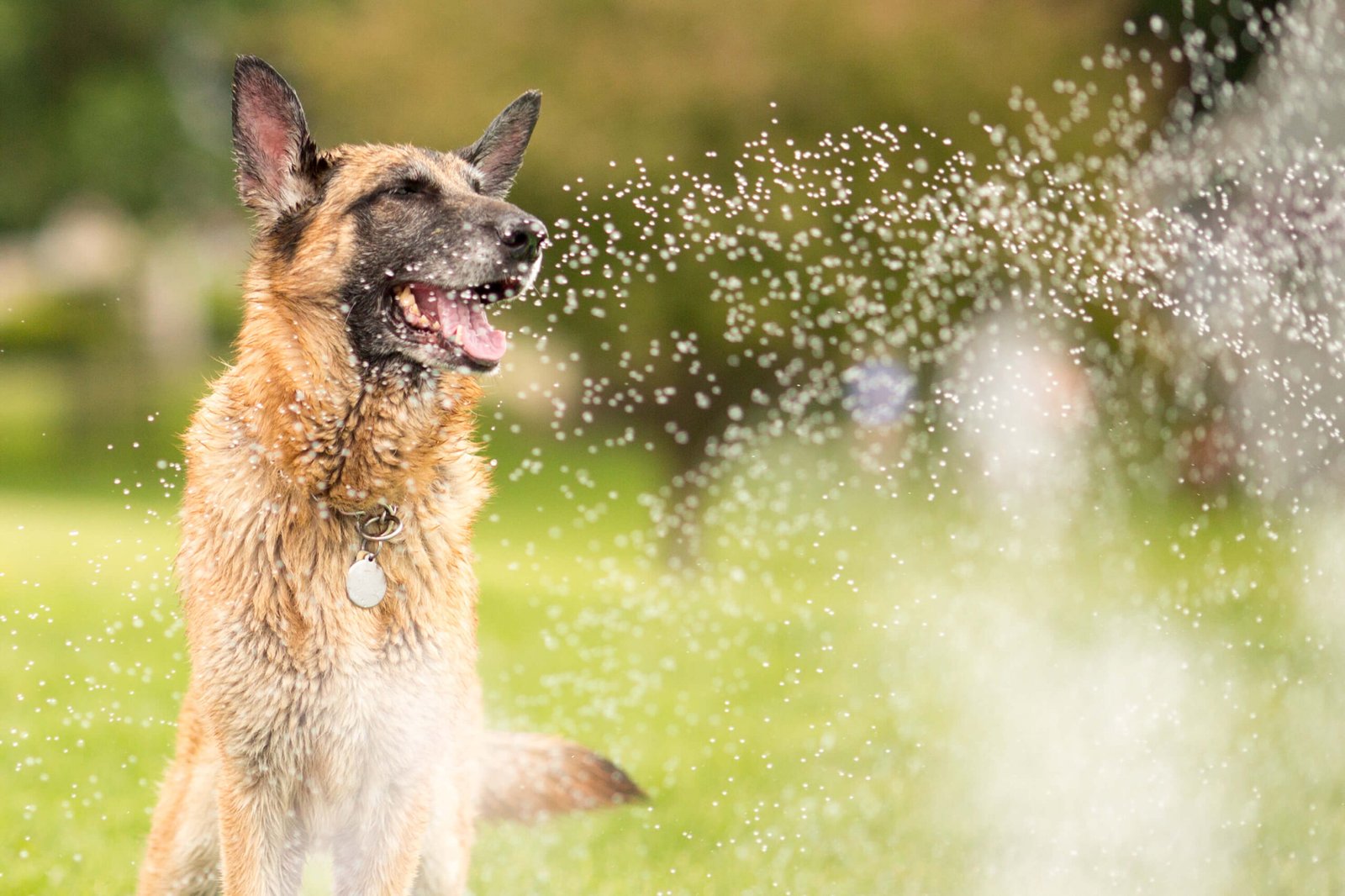 Tips for Staying Cool During the Dog Days of Summer