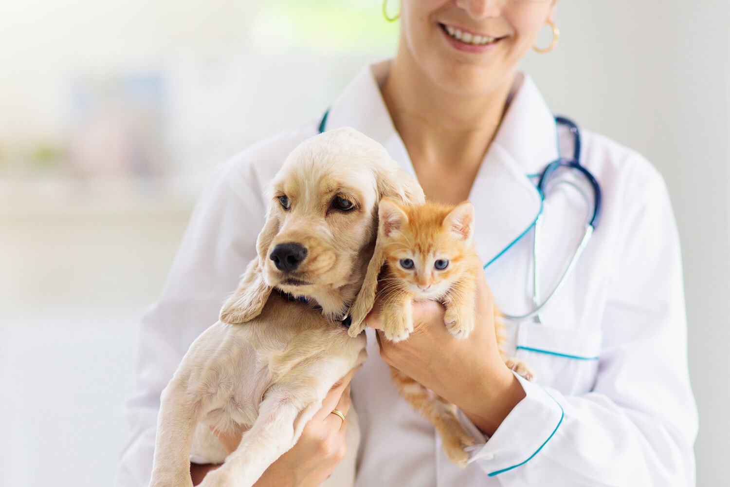 Preparing for Your Dog’s First Pet Sitting Visit