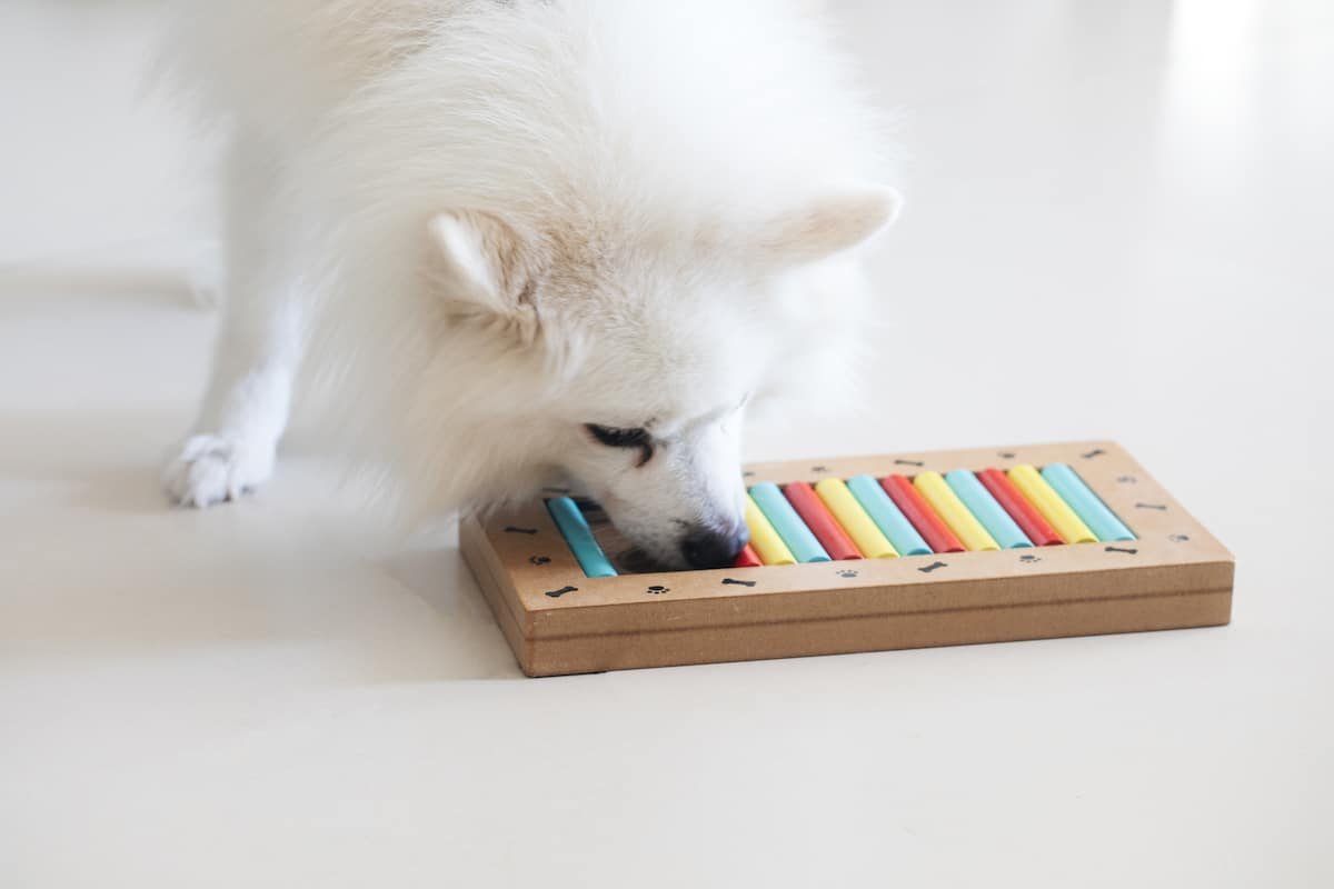 Interactive Puzzle Game Dog Toys