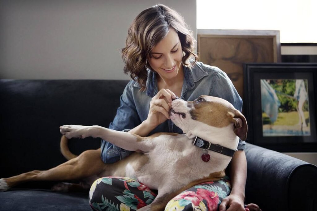 Feeling Stressed? So Is Your Dog