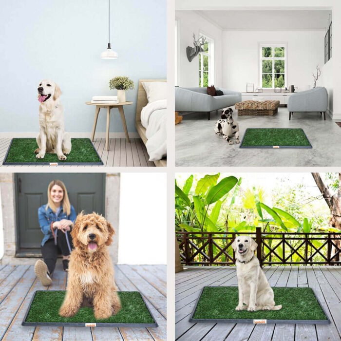 Indoor Dog Potty Systems 05