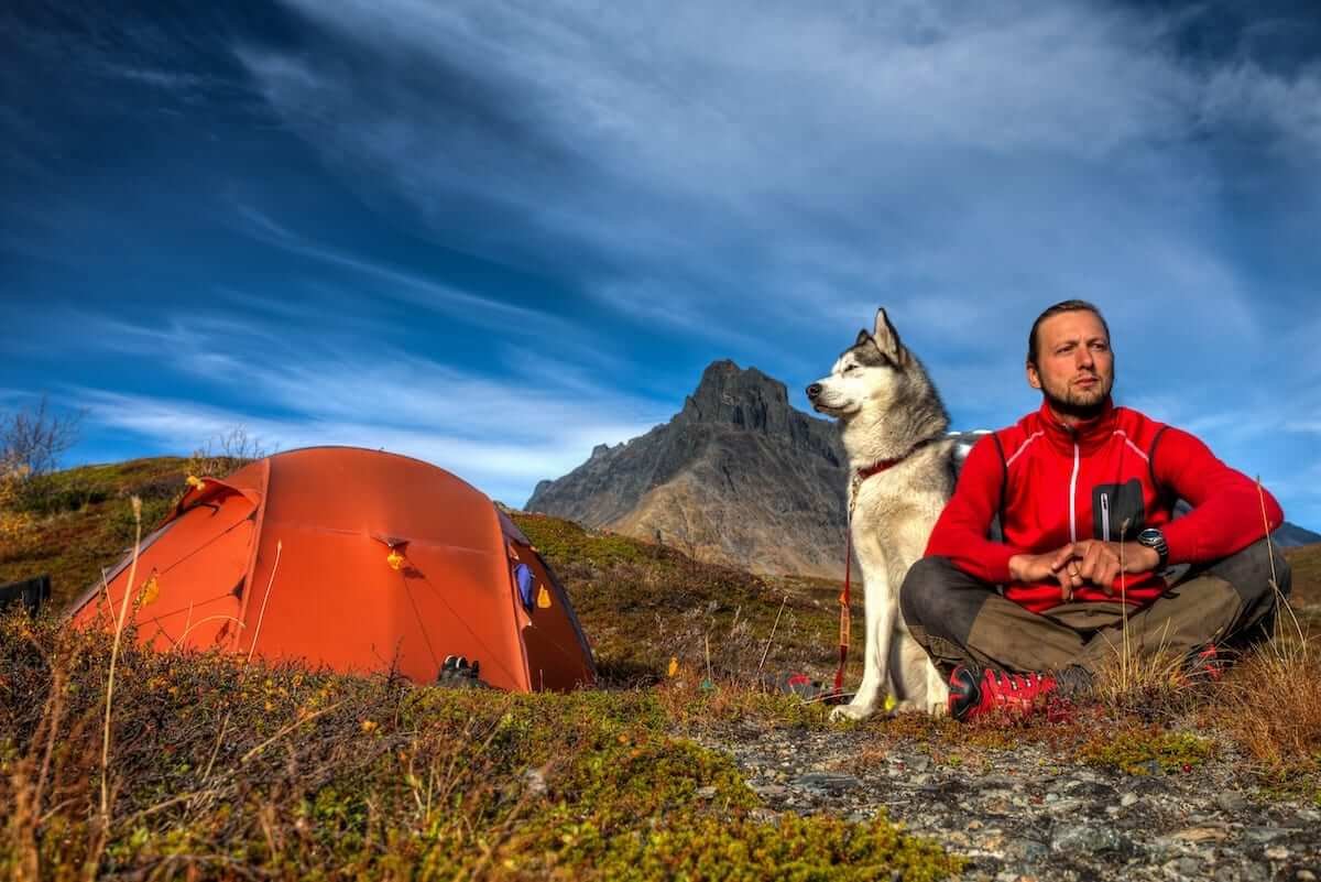 6 Tips for Camping with Your Dog