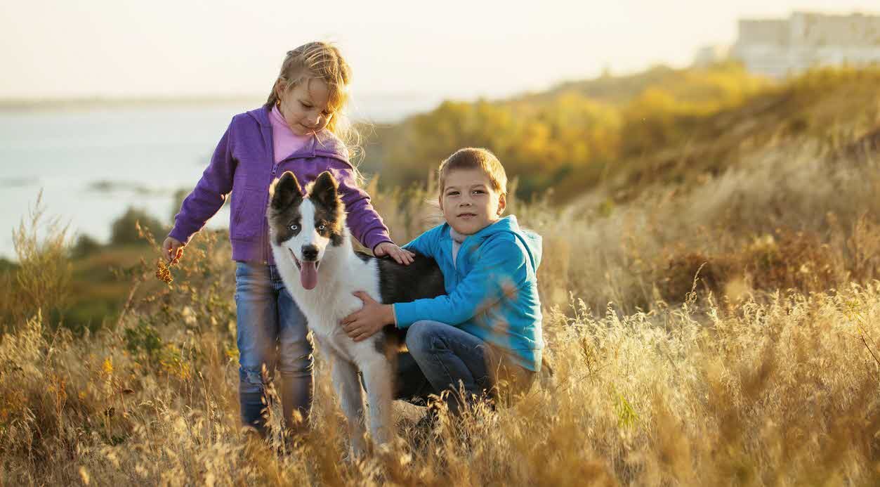 How to Teach Your Kids To Be Around Dogs