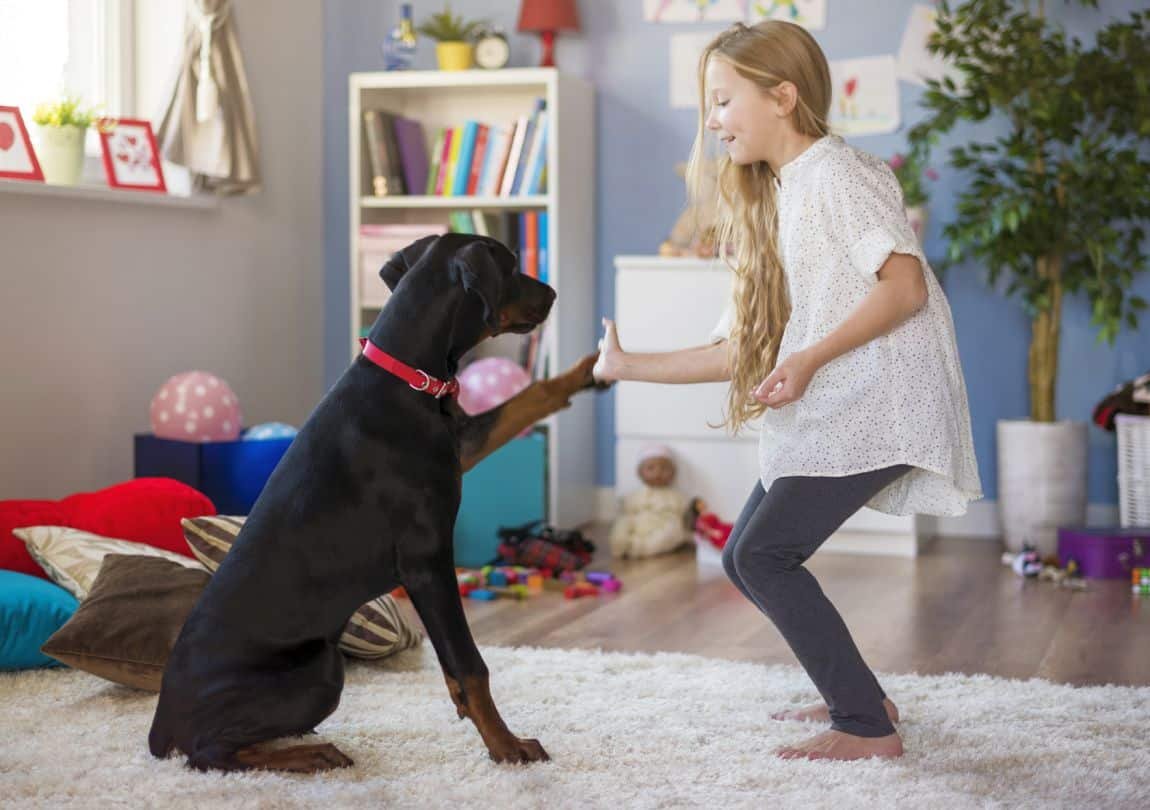 How to Teach Your Kids To Be Around Dogs