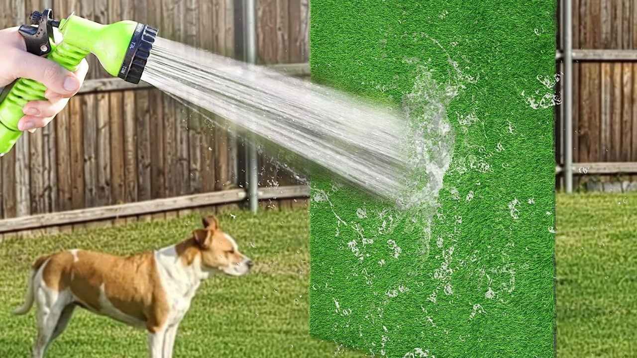 grass pee pads easy to clean